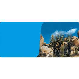 Reptiles Planet Terrarium Rückwand Poster Desert/Blue aus Kunststoff 1 Rolle à 15 m x 60 cm – Bild 1 von 4