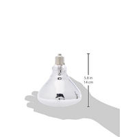 Produktbild von Reptiles Planet Ultrasun UVB-Kompaktlampe 160 W für Reptilien, Echsen und Schildkröten