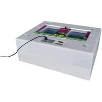 Produktbild von ReptiZoo Digital Inkubator Brutapparat mit Thermostat Weiß 50x40 cm
