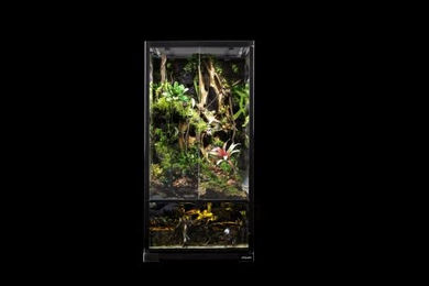 ReptiZoo Glas-Hochterrarium Transparent 45x45x90cm – Bild 1 von 2