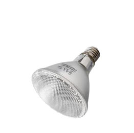 Produktbild von ReptiZoo Halogen Spot UVA Basking Lampe 100 Watt Silber PAR30100 - 100 Stk.