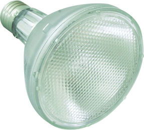 Produktbild von ReptiZoo Halogen Spot UVA Basking Lampe für Reptilien 75 Watt