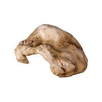 Produktbild von ReptiZoo Höhle für Reptilien in Steinoptik Beige Größe S aus Kunstharz