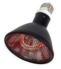 ReptiZoo Infrarotlampe zur Wärmezufuhr für Reptilien – Bild 1 von 10