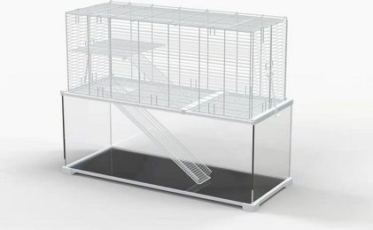 ReptiZoo Kleintierterrarium easyclean KIT aus Glas 50x30x50cm – Bild 1 von 3