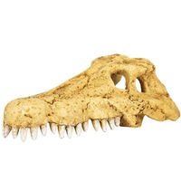 Produktbild von ReptiZoo Krokodilschädel Höhle aus Kunststoff für Echsen in Beige Größe S