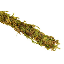 ReptiZoo Künstlicher Ast mit Moos Grün Large – Bild 1 von 6