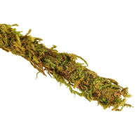Produktbild von ReptiZoo Künstlicher Ast mit Moos Grün Large