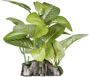 Produktbild von ReptiZoo Kunststoffpflanze Fittonia verschaffeltii Terrariendeko für Reptilien Amphibien und Wirbellose