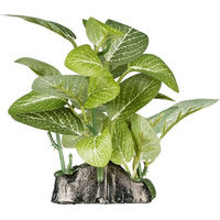 Produktbild von ReptiZoo Kunststoffpflanze Fittonia verschaffeltii Terrariendeko für Reptilien Amphibien und Wirbellose