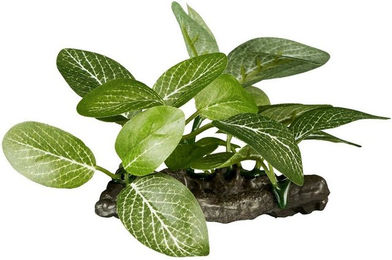 ReptiZoo Kunststoffpflanze Helenia elliptica Terrariendekoration für Terrarientiere – Bild 1 von 1