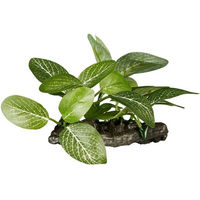 Produktbild von ReptiZoo Kunststoffpflanze Helenia elliptica Terrariendekoration für Terrarientiere