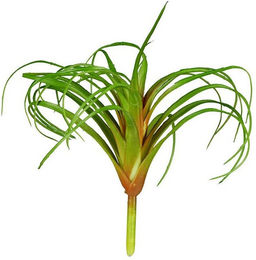 Produktbild von ReptiZoo Kunststoffpflanze Tillandsia für Reptilien Terrariendeko 20 cm Grün