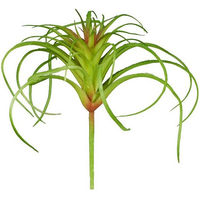Produktbild von ReptiZoo Kunststoffpflanze Tillandsia Terrariendekoration für Reptilien und Amphibien 12 cm - 12 cm