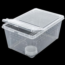 ReptiZoo Kunststoffterrarium für Reptilien transparent medium – Bild 1 von 7