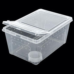 ReptiZoo Kunststoffterrarium Hartschalen-Box Transparent S – Bild 1 von 6