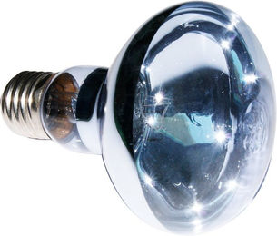 Produktbild von ReptiZoo Neodym Spot UVA Heizlampe 100 Watt für Reptilien - 100 Stk.