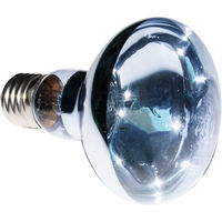 Produktbild von ReptiZoo Neodym Spot UVA Heizlampe 100 Watt für Reptilien - 100 Stk.