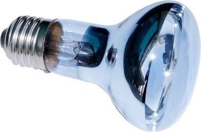 Produktbild von ReptiZoo Neodym Spot UVA Heizlampe 75 Watt für Reptilien