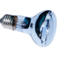 Produktbild von ReptiZoo Neodym Spot UVA Heizlampe 75 Watt für Reptilien