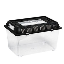 ReptiZoo Plastik Terrarium Flat Box medium 32,5x22x21 cm RT2003B – Bild 1 von 2