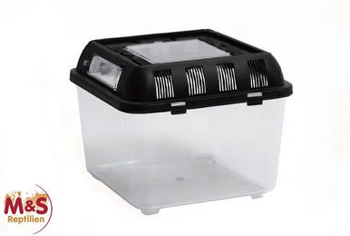ReptiZoo Plastikterrarium Mini für Reptilien Frösche und Insekten 20,5x20,5x17 cm – Bild 1 von 1