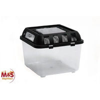 Produktbild von ReptiZoo Plastikterrarium Mini für Reptilien Frösche und Insekten 20,5x20,5x17 cm