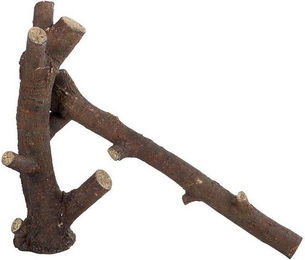 ReptiZoo Terrariendeko Kletteräste aus Naturholz in Braun – Bild 1 von 2