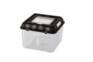 Produktbild von ReptiZoo Terrarium Flat Box aus Kunststoff transparent 26x26x20 cm small