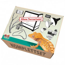 ReptiZoo Terrarium Komplettset für Kronengeckos aus Glas in Schwarz 60x45x90cm – Bild 1 von 5