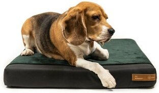 Rexproduct ORI Orthopädische Hundematratze mit Memory Foam in Dunkelgrün Größe L – Bild 1 von 2