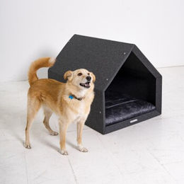 Rexproduct Pethome 2.0 Hundebett Hellgrau Dunkelblau Größe S – Bild 1 von 2