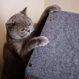 Rexproduct PetHome Hundebett Dunkelgrau Navy Größe M aus Stoff mit Oeko-Tex und Global Recycled Standard Zertifizierung – Bild 1 von 2