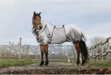 Riding World Anti-Ekzem-Pferdedecke als Fliegendecke und Abschwitzdecke in Grau 150 cm – Bild 1 von 6