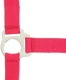 Produktbild von Riding World Club Halfter für Ponys aus Kunststoff in Rosa Rot oder Silber