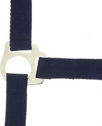 Produktbild von Riding World Club Shetty Halfter aus Kunststoff in Blau