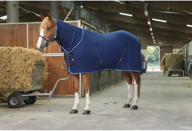 Riding World Combo Pferdedecke Polar Sheet Navy Blau aus Polyester – Bild 1 von 2