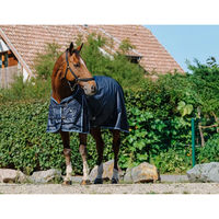 Produktbild von Riding World Eco 0g Outdoor-Pferdedecke aus Polyester in Blau