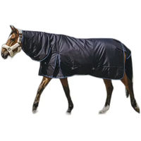Produktbild von Riding World Eco 600D Combo Outdoor-Decke für Pferde mit 220g Füllung