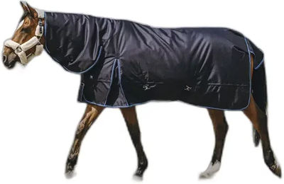 Produktbild von Riding World Eco 600D Combo Outdoor-Decke für Pferde mit 220g Füllung