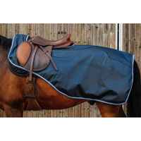 Produktbild von Riding World Eco 600D Nierendecke für Pferde aus Polyester in Blau
