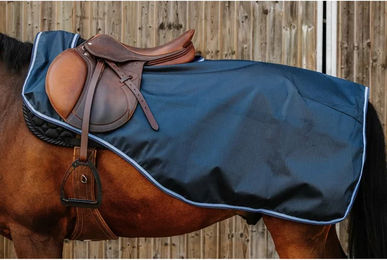 Produktbild von Riding World Eco 600D Nierendecke für Pferde in Blau aus Polyester