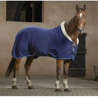 Produktbild von Riding World Equithème Komfort-Pferdedecke Abschwitzdecke mit Polsterung Blau