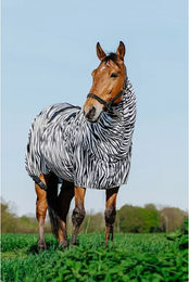 Riding World Equithème Zebra Anti-Ekzemerdecke für Pferde aus Polyester – Bild 1 von 8
