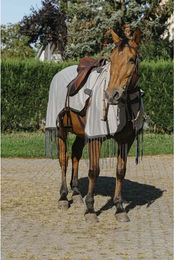 Riding World Fliegendecke für Pferde aus Nylon in Grau 125 cm – Bild 1 von 7