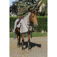 Produktbild von Riding World Fliegenschutz-Ausreitdecke für Pferde aus Nylon in Grau Größe 155