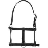 Produktbild von Riding World Halfter für Fohlen aus Kunststoff in Schwarz