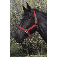 Produktbild von Riding World Halfter und Stricke aus Polypropylen