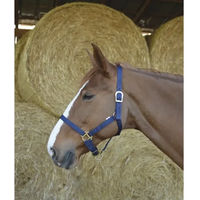 Produktbild von Riding World Halfter und Stricke aus Polypropylen in Blau