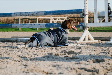 Riding World Hundedecke Eco 600D aus Polyester in Blau oder Anthrazit – Bild 1 von 1